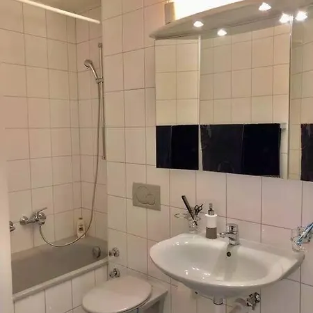 Ganze Wohnung Mit Balkon,Schoene Aussicht,Kueche,Bad,Wifi Basel Exterior photo