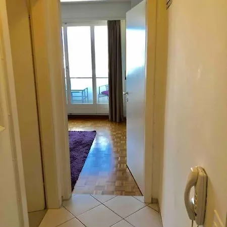 Ganze Wohnung Mit Balkon,Schoene Aussicht,Kueche,Bad,Wifi Basel Exterior photo