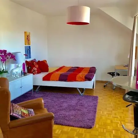 Ganze Wohnung Mit Balkon,Schoene Aussicht,Kueche,Bad,Wifi Basel Exterior photo